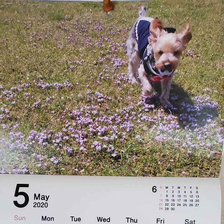 49bedb33 adfc 4b1b b011 9ffef29146c5 1588382759645