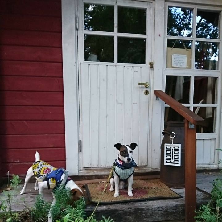 49bee228 0840 4322 b4d5 66fbbaf1f393 1537707678805