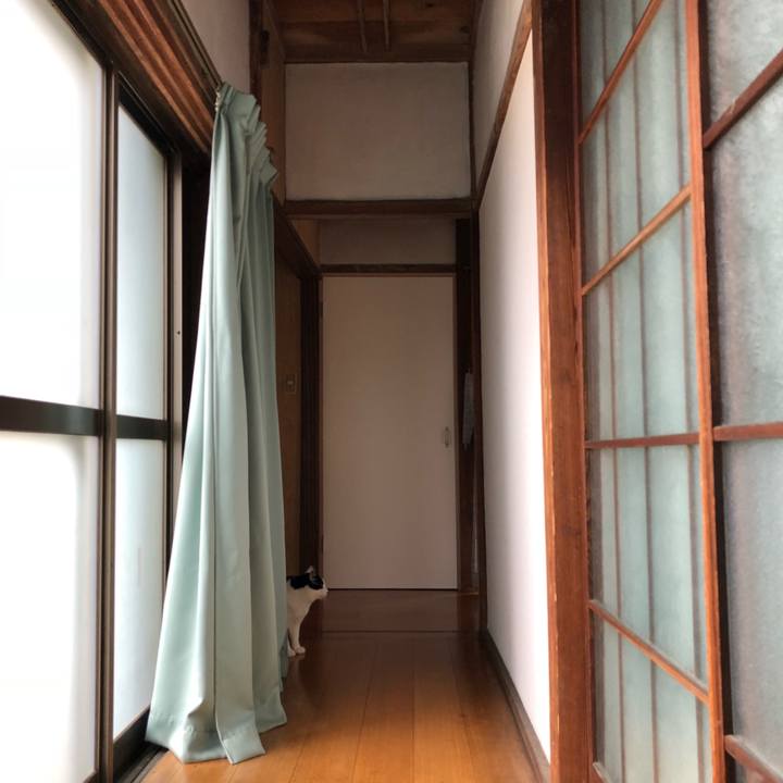 49bf03ad 2c1d 4e98 a15a 7b4d8bc5a818 1555239351346