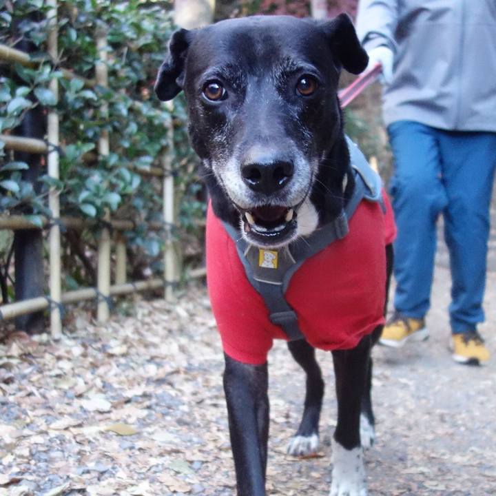 49bf2482 5497 461c 9775 be7faa7f8782 1734312185232