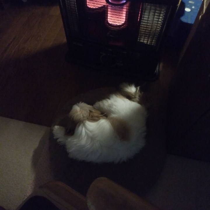 49bf5784 d32c 450d 9e36 f60381670345 1512471709797