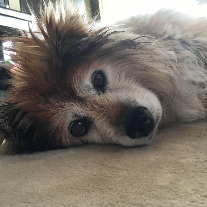 49bf79e5 8cc8 406c 8ff8 17e0564f69f8 1579610017044