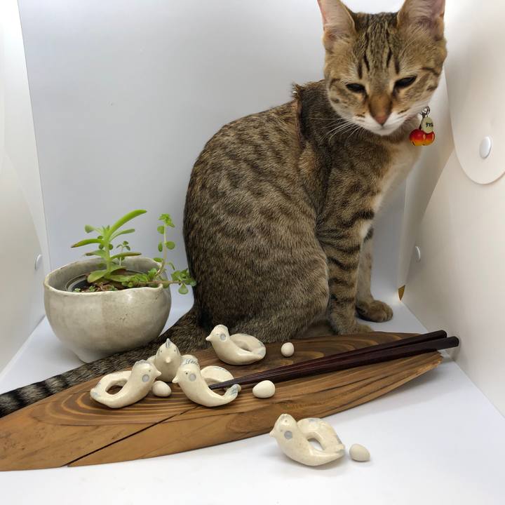 49bfad31 bd6e 4b1c 9605 57a73de99d32 1587788490952