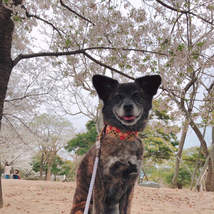 49bfc9d9 ec8f 4f99 9e59 de28db538e60 1616144957153