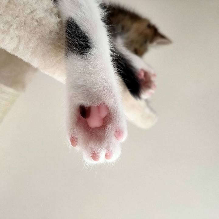 49c016e5 eae0 4b21 ba11 020d2e9d4b58 1624352573391