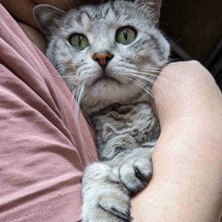 49c018eb 3396 41da af70 9881a1dd0238 1717886620369