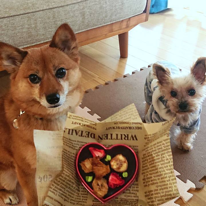 49c02415 9417 4ebd b3bc db7b60b8e527 1613300560806