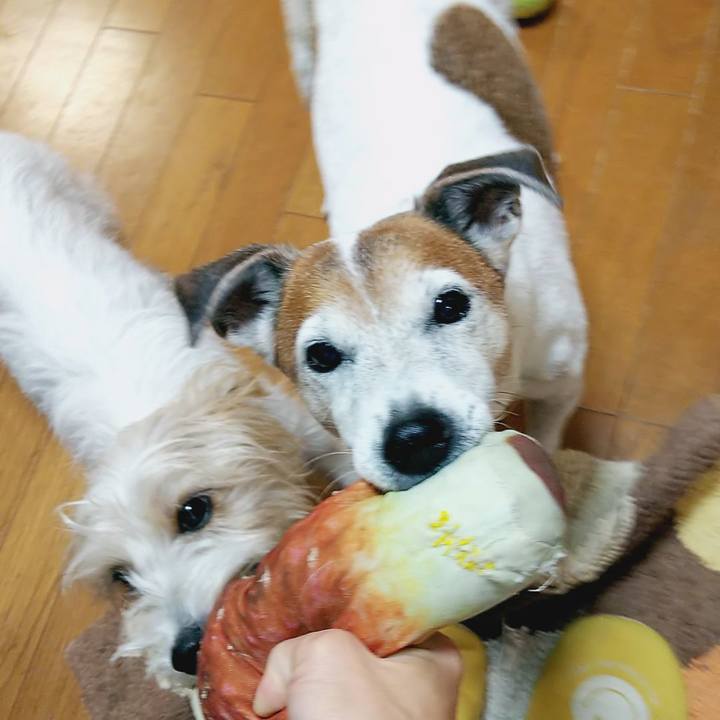 49c071ef 1123 4af7 b7ed c68765382fb5 1542233497596