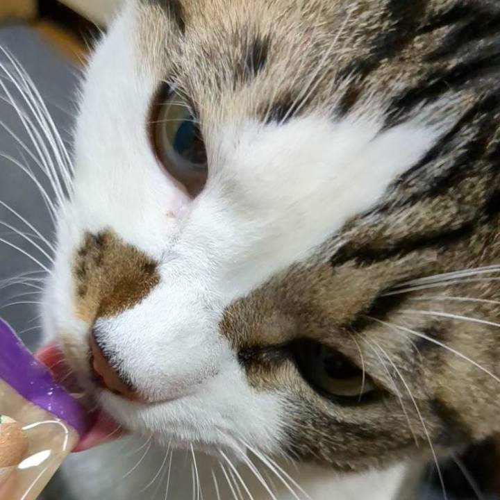 49c09327 0d52 422a b133 547fad78a22b 1699186416441