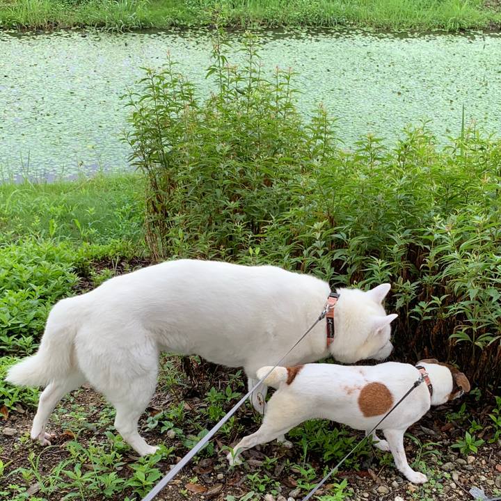 49c0cc88 9011 4fc8 9481 0c792f475bcf 1566604587693