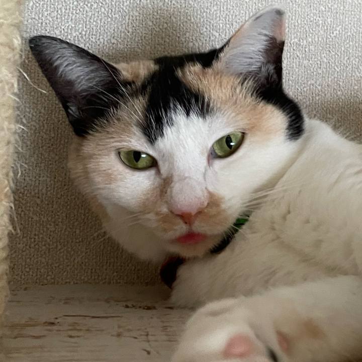 49c13e54 8b73 45d3 9d99 ccbd0459334e 1719710157036