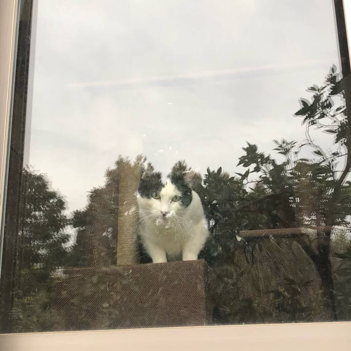 49c14682 7a45 49da a18b 3a7a535cb69a 1555491021656