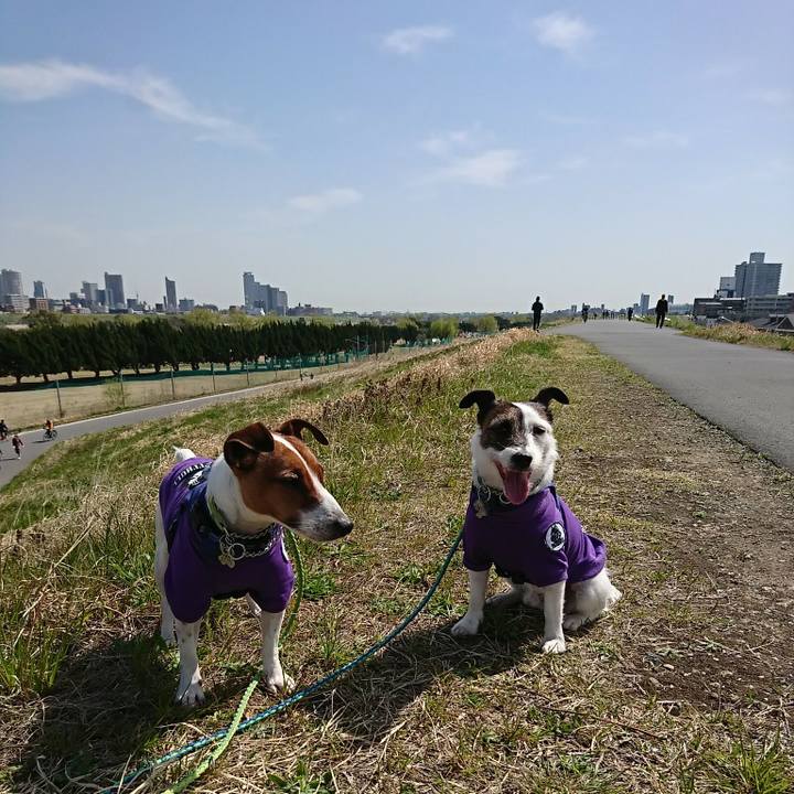 49c166ef 5faf 42a7 a34b 0a1399fec4f9 1584757557857