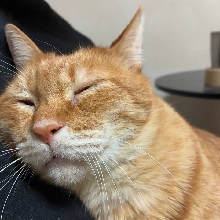 49c174cf 53e7 4d88 be68 c493534f7574 1767702591870