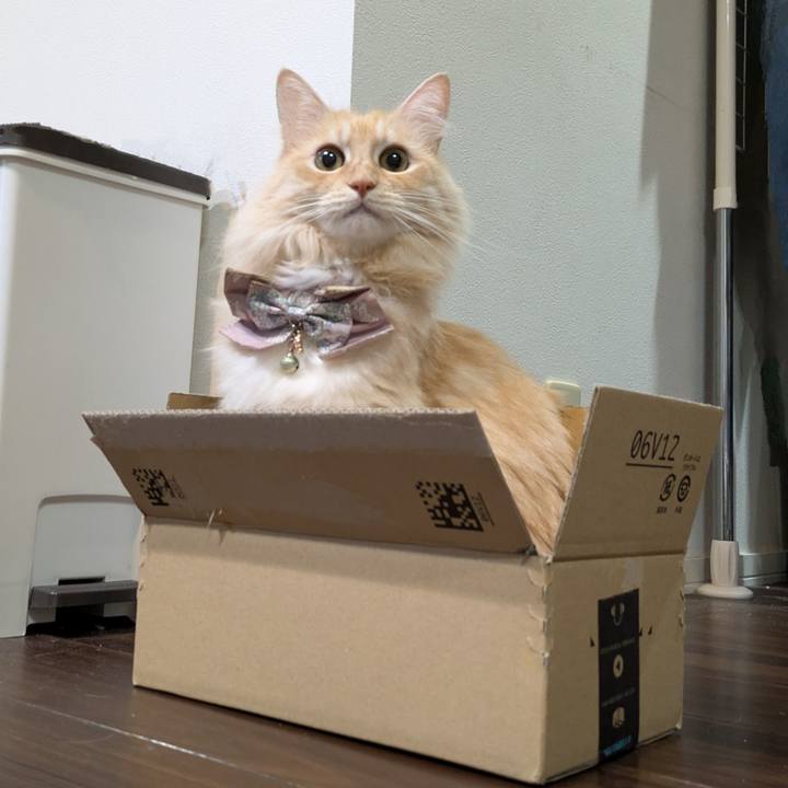 49c18b43 6961 48af 9bc6 c067bdb0d193 1729242736860