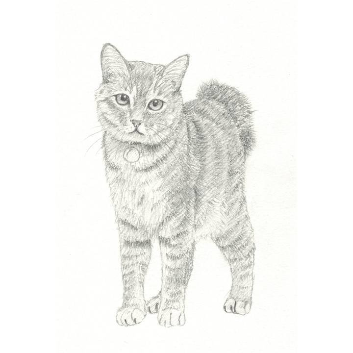 49c1979b bb4b 431f 9980 43f9ba80e194 1537966649942