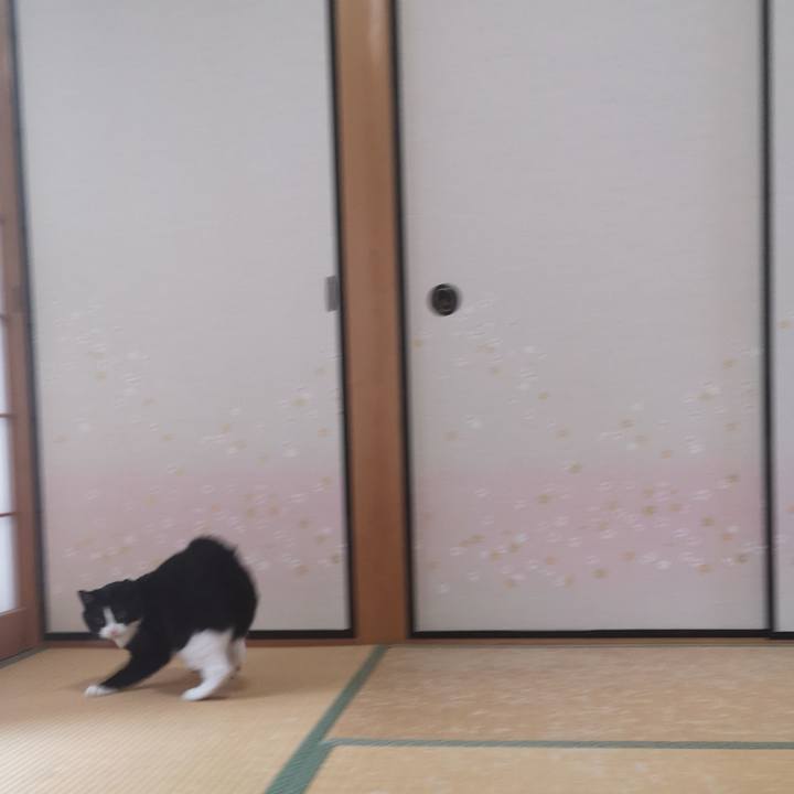 49c1cff7 1426 49dc a477 4a51ecb914ad 1593352108191