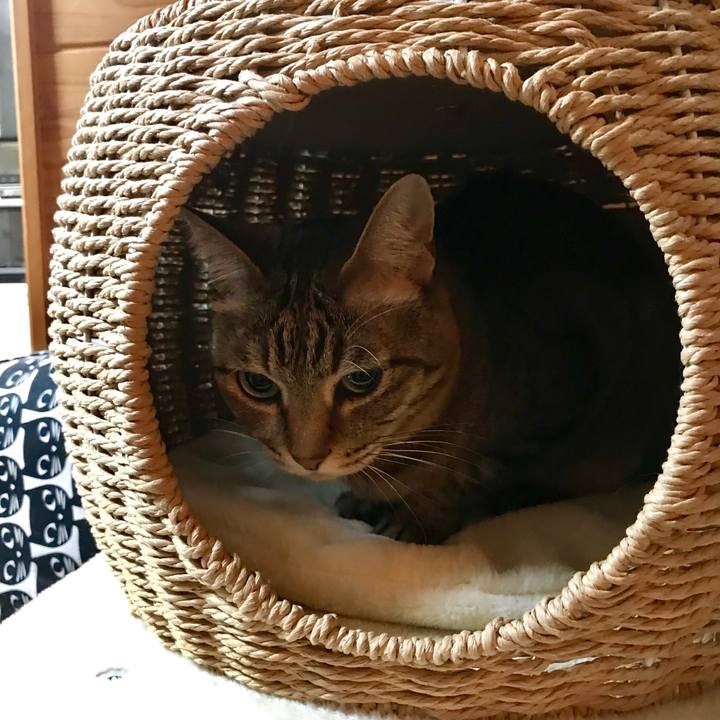 49c20271 23a8 4f16 aee5 df34d62b91b8 1555248960113