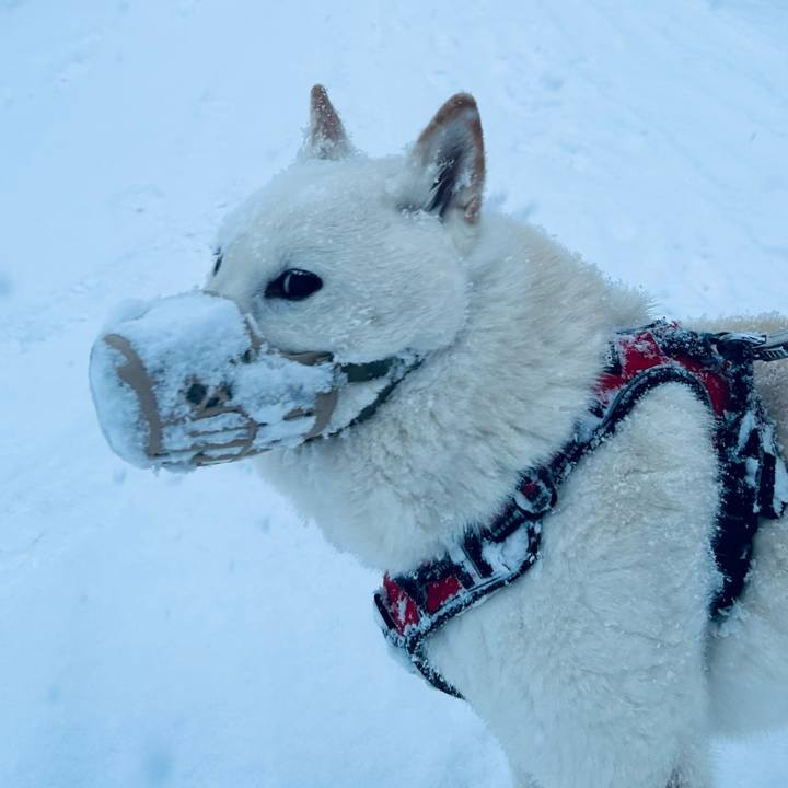 49c25318 319c 4d28 9d1d 30c57b5439f4 1707435675953