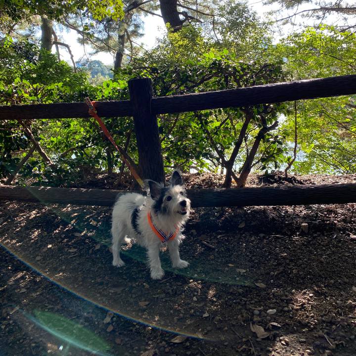 49c26fc6 06a9 4da0 99ce 2b5e787b5752 1572873242345