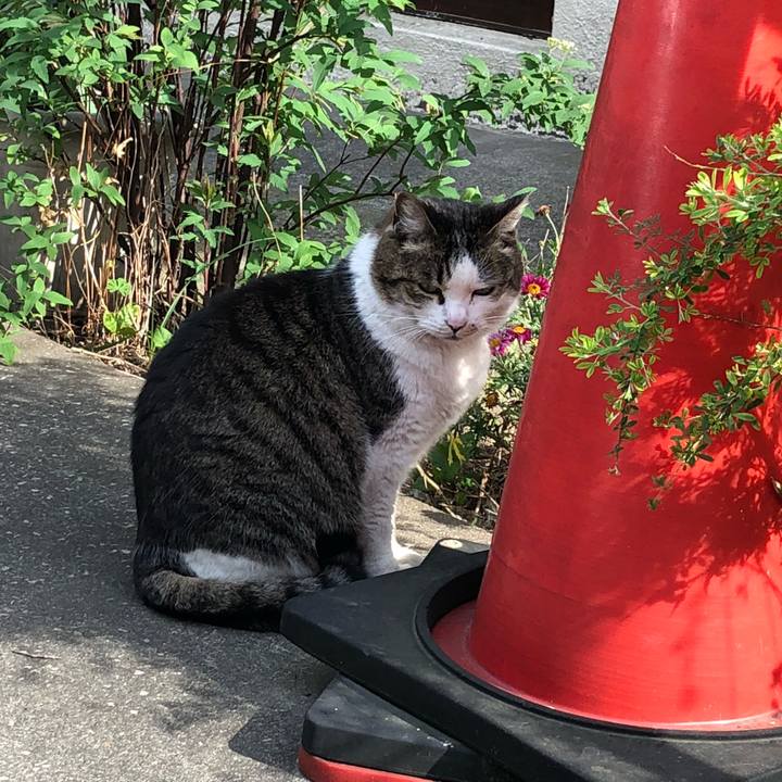 49c29c34 f1da 4209 95f0 8b1c6b77afc7 1523441111791