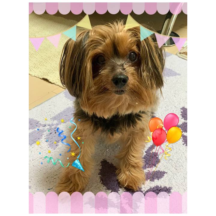 49c2ac33 317d 422e bef5 4a925159eedf 1602298679974