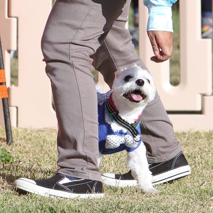 49c2ca90 23b2 4f4b 8ca9 ee5d09dc6366 1542507346605