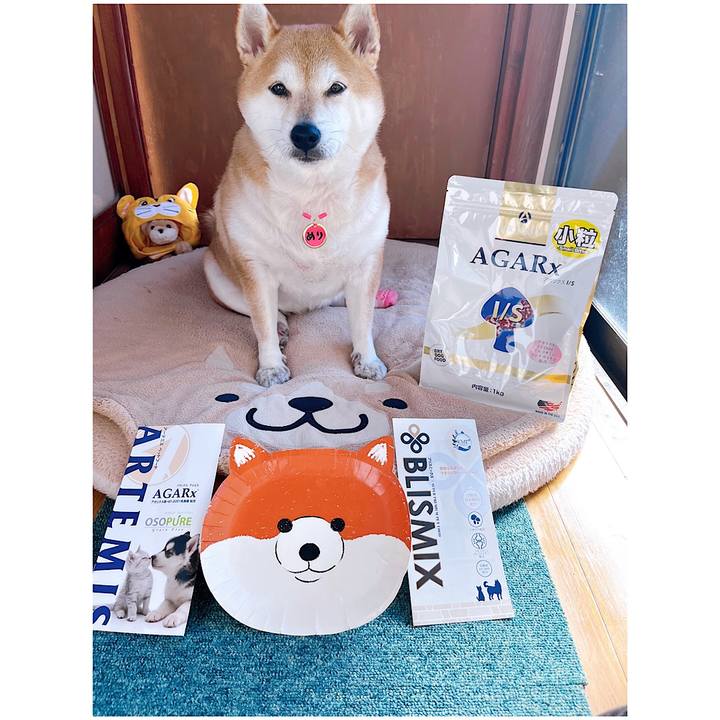 49c2d2e6 dd24 4778 85de 16bda2ff9eed 1667361870038