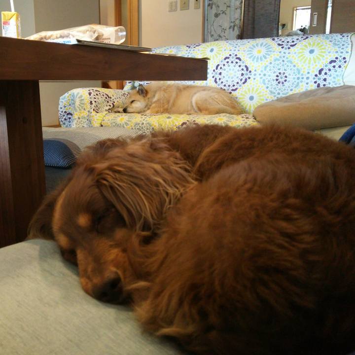 49c30056 5907 4f1c aaf3 89fb6cb45ced 1527924928082