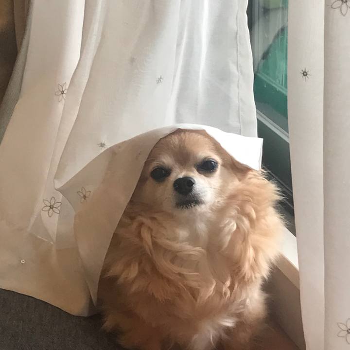 49c3158c 202e 4099 99f0 12a018a0761d 1590100649387