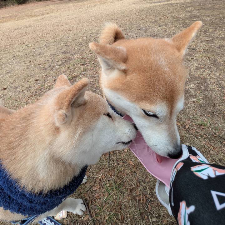 49c3179f ac6e 4cba 814a c7caafa0ce7e 1768103260989