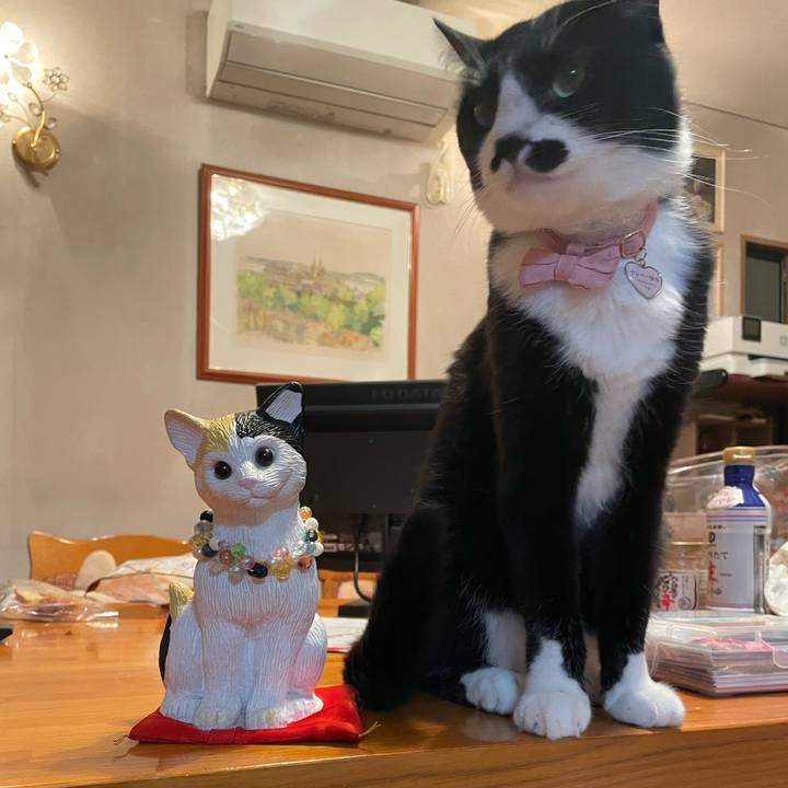 49c33a0c 4d75 4236 894b 0180a7b4b99a 1746620924643