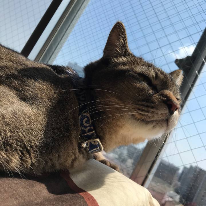 49c3481c 1eb9 4d30 8843 c174b46db32a 1555564457924