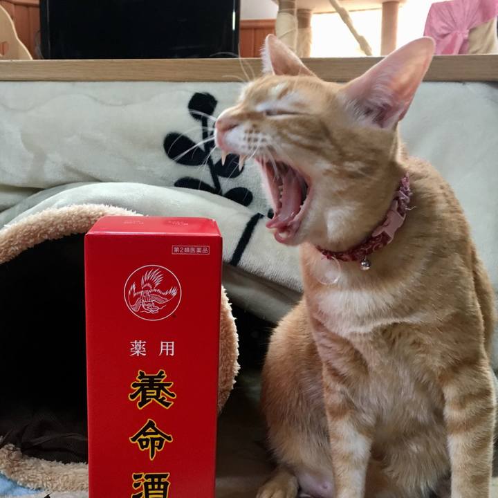 49c3b46b 19fa 4b84 b1bd db4039761be7 1515733665104