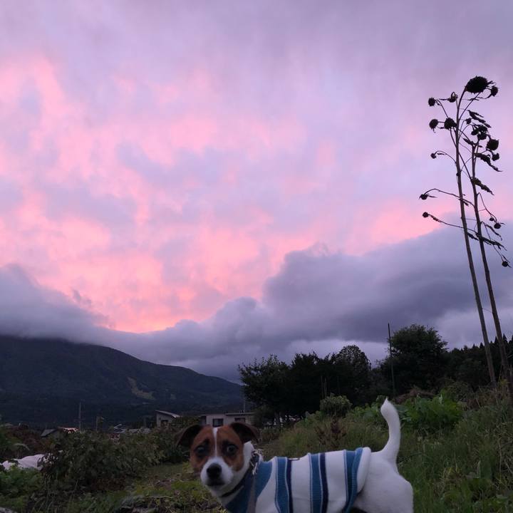 49c3b936 75cc 4846 b8ba 501ba13e4fd4 1602245177296