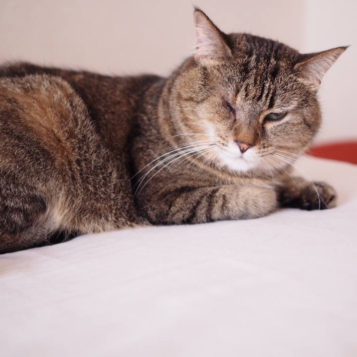 49c3b9e5 e6fe 4cf1 845b b34f8c9c927e 1532650702924