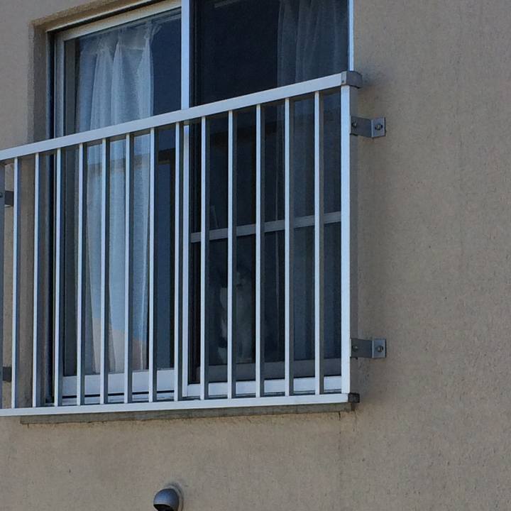 49c3dbf2 b27c 4527 9205 5239f503df36 1527585377378