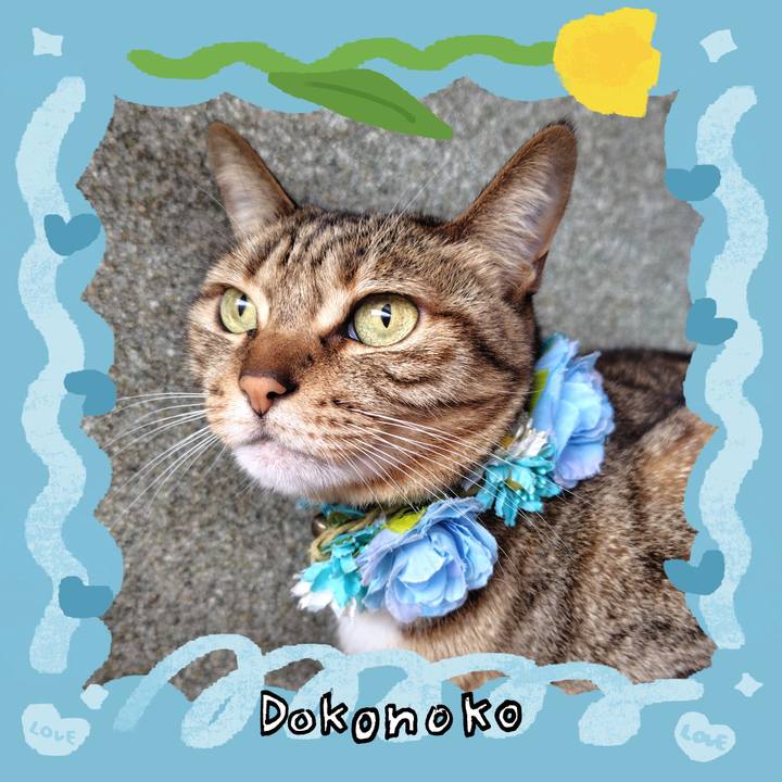 49c3e092 1404 4928 8ff1 bdd047f408cc 1772498663462