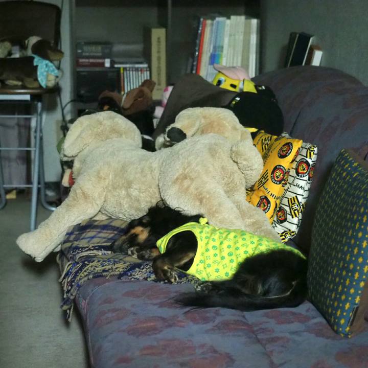 49c3f54d 3996 4699 a9c7 7406fb7d1c9a 1562932799264