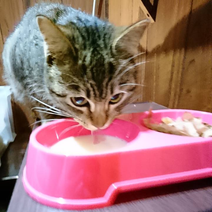 49c4060c a260 4fe1 a1cd 5d3ecf039f71 1549221959694