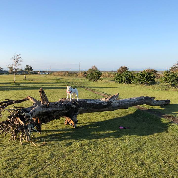 49c420b0 12a8 455d bd3a bef465ca0f15 1538382073133