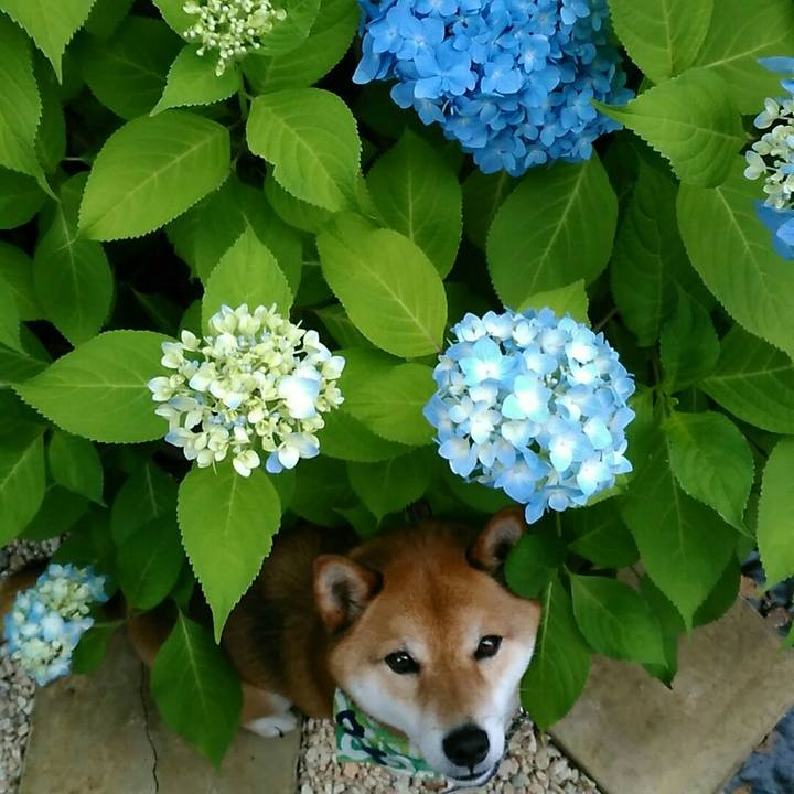 49c429be cd78 4e9f be4c 37b10ac0fafe 1559548535952