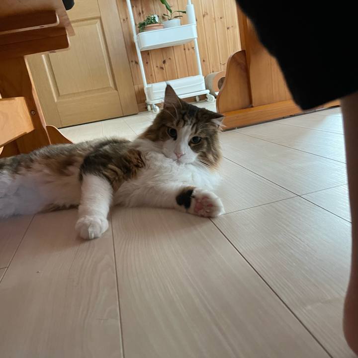 49c440ab 5297 40b6 b85b bcb46fef600f 1664400491780