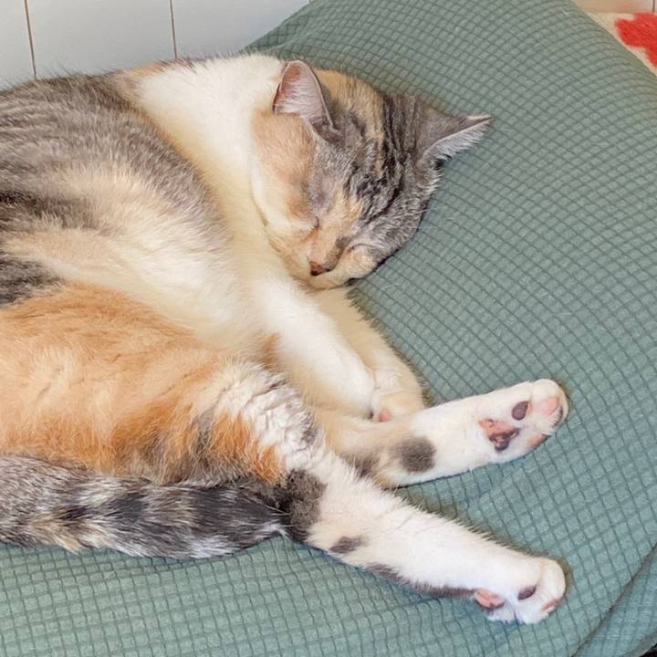 49c44a9d 8bc2 4ffd b38e a4ca21f2109c 1583208435637