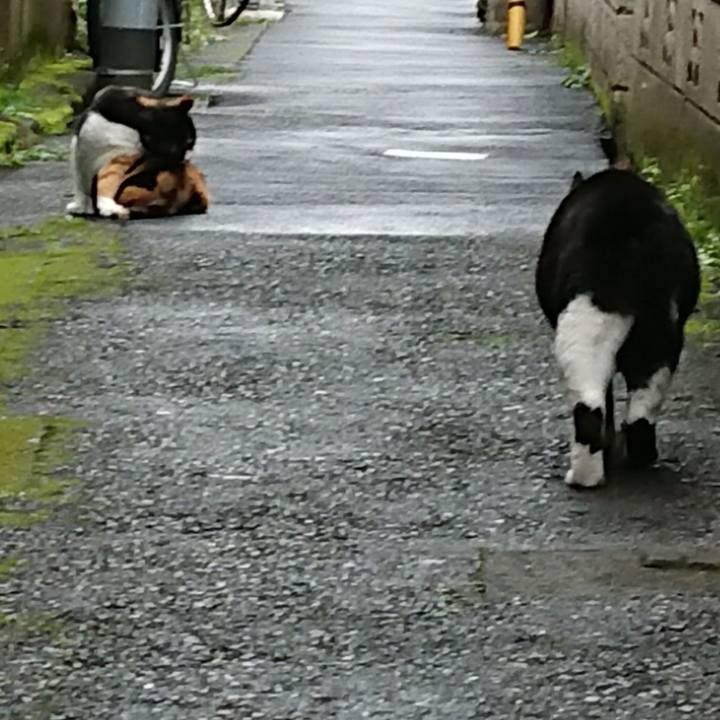 49c4844d efb3 47df 995a ddebe85664eb 1631402322971