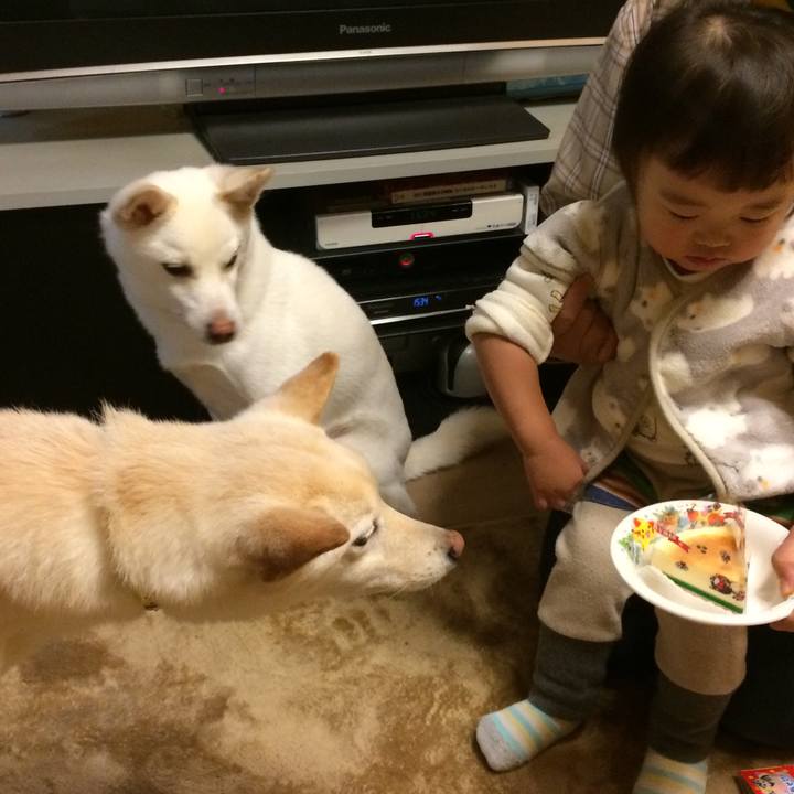 49c4bc91 6ee7 41a3 84a0 19e6ffbeb1ff 1545474186104