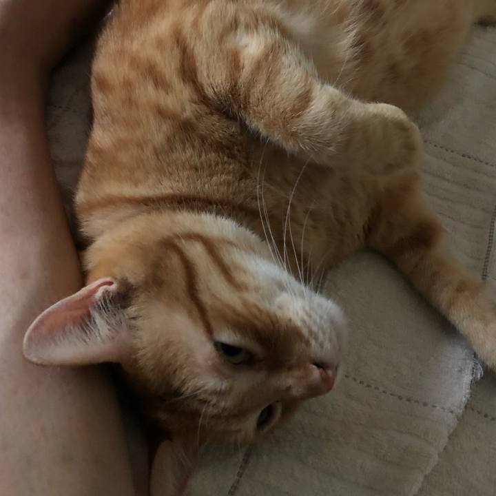 49c4f203 d5eb 43e6 b7d7 d35e6cce5c1c 1565990662529