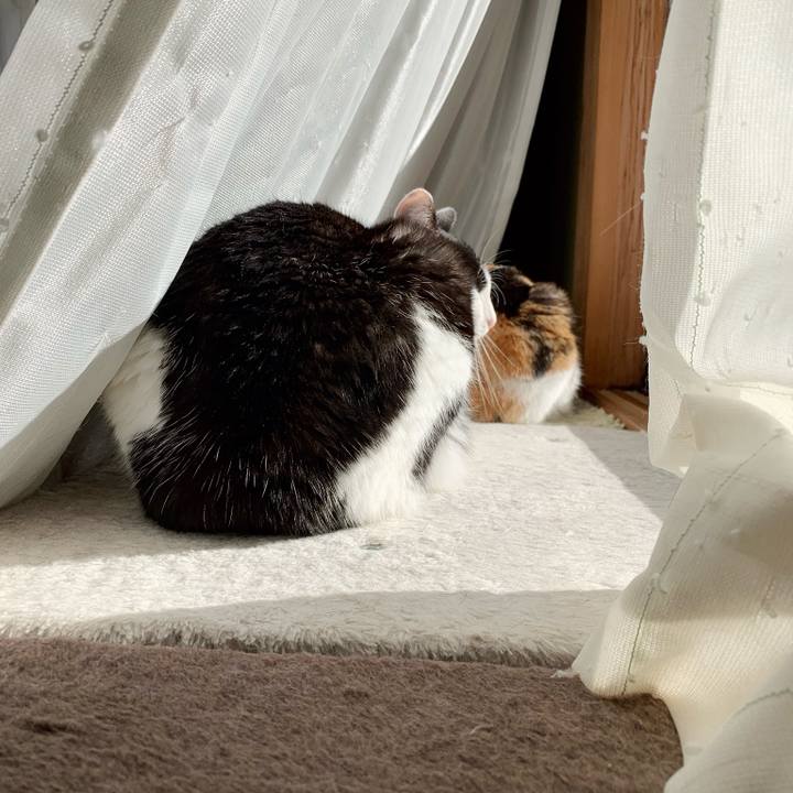 49c533bb 8dce 4589 ad16 47fd28e40a97 1544407963853