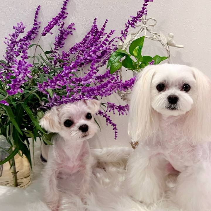 49c57040 5798 434b 9eb6 3e264914083d 1699857149184