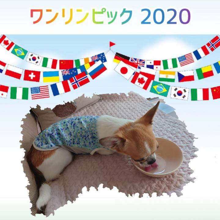 49c576d0 da4d 47e2 937e 70ffbabced1e 1626944474654